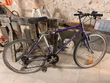vélo adulte
