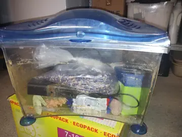 aquarium