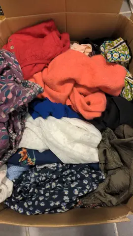 Lot vêtements femme L/XL/+