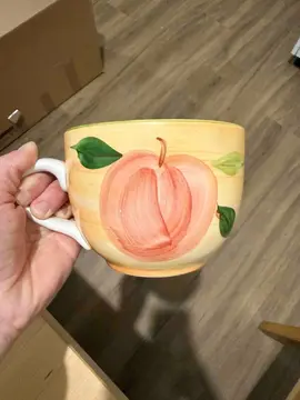 Bol pêche