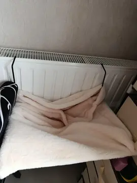 hamac à chat