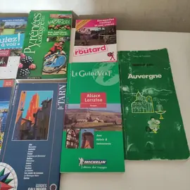 Lot de guides touristiques