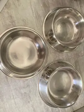 Lot 3 gamelles inox pour chat ou petit chien