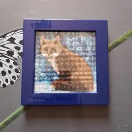 cadre 18x18