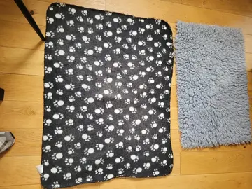 couverture et tapis pour chat