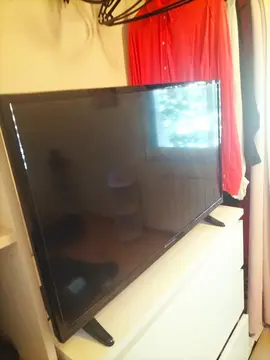 télévision
