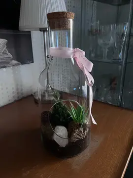 déco