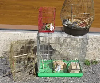 diverses cages à oiseaux