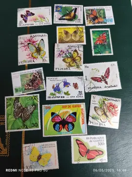 lot unique 15 timbres Papillons
