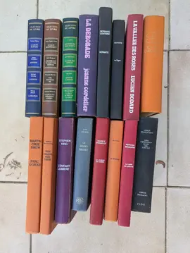 Lot de livres France Loisirs