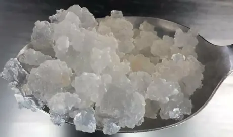 Grains de kéfir