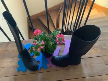 Bottes ZARA - Pointure 38
