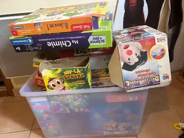 jeux de société, livres pour enfants et kapla