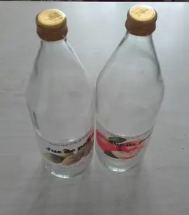 2 bouteilles en verre