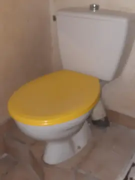 WC sur pied + chasse d'eau