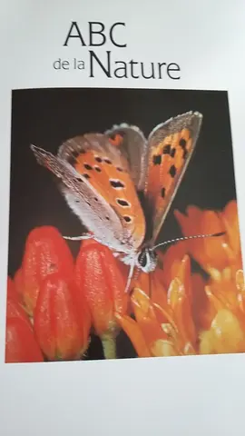 Livres sur la nature, les plantes, le jardin, la cuisine, le patrimoine...
