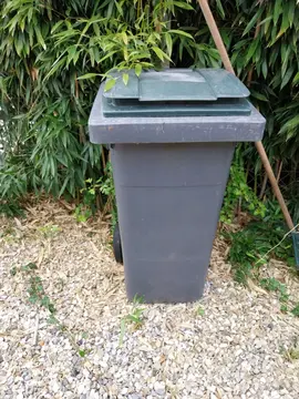 poubelles