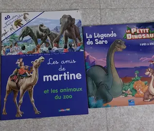 livre enfant 11