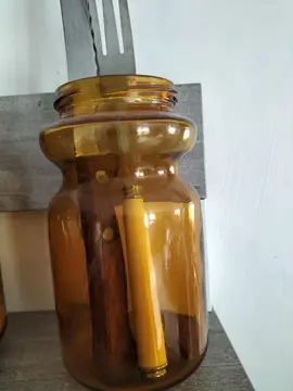 pots de chicorée en verre