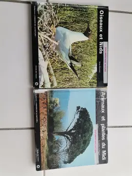 Documentaire