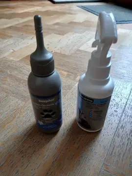 traitement chat + brosse + litiere