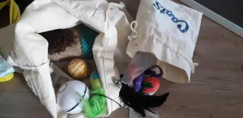 lot jouets chat