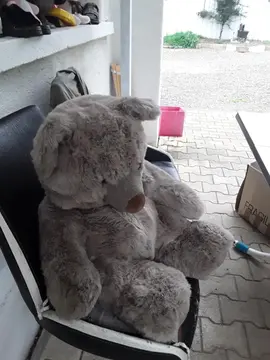 Grosse peluche
