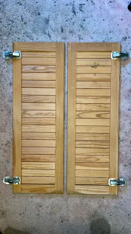Paire de portes placard avec charnières