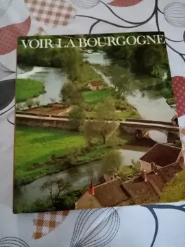 Livre VOIR LA BOURGOGNE