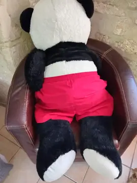 gros ours en peluche