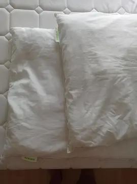 2 oreillers ikea mousse 60x60