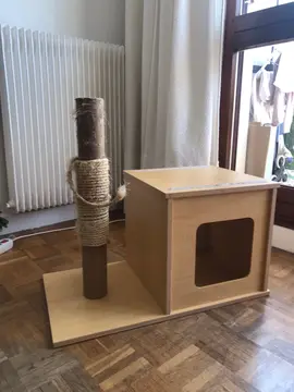 maison pour chat