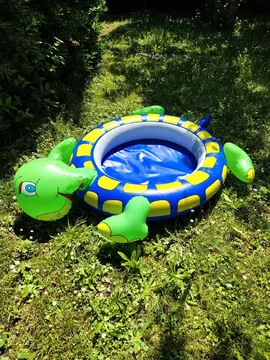 piscine gonflable tortue
