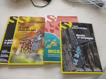 4 revues salamandre