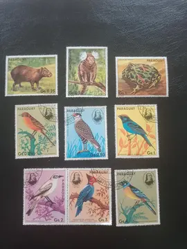 Timbes / Paraguay "animaux"