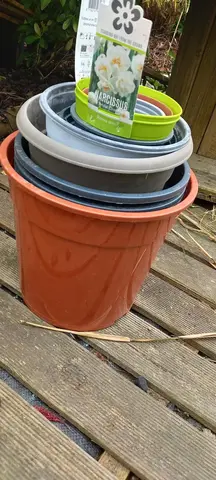 quelques pots pour semis