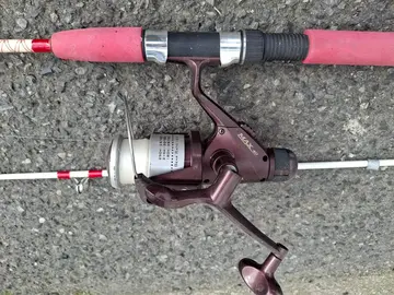 canne à pêche