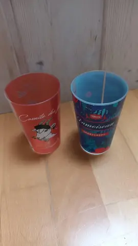 2 Eco cup