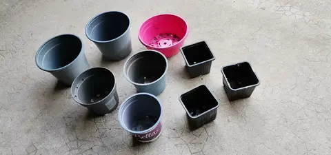 Pots en plastique