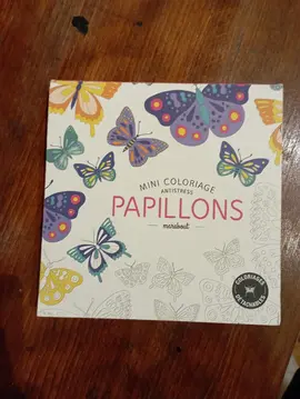 coloriage papillon