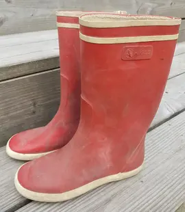 Bottes Aigles T31