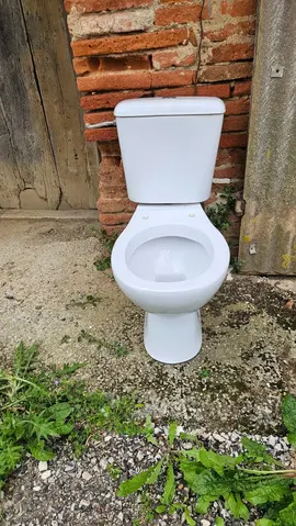 WC avec réservoir et mécanisme (porcelaine blanche)