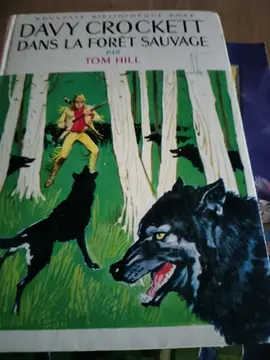 Davy Crockett dans la forêt sauvage