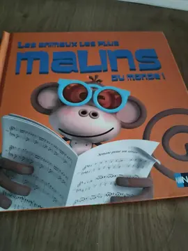 Les animaux les plus malins du monde
