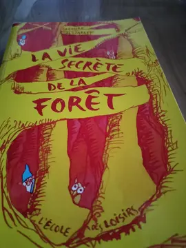 la vie secrète de la forêt