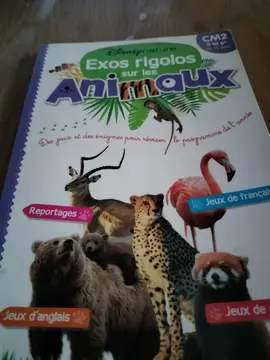 exos rigolos sur les animaux