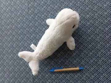 Peluche