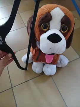 peluche
