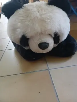 peluche