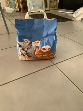Litière chat